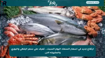 ارتفاع جديد في أسعار السمك اليوم السبت.. تعرف على سعر البلطي والبوري والمكرونة الآن.